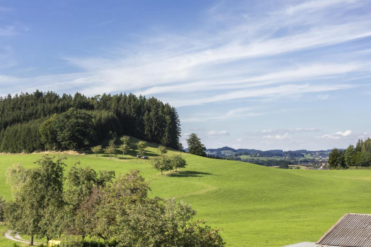 Apartment Landzeit Neukirch  Zewnętrze zdjęcie