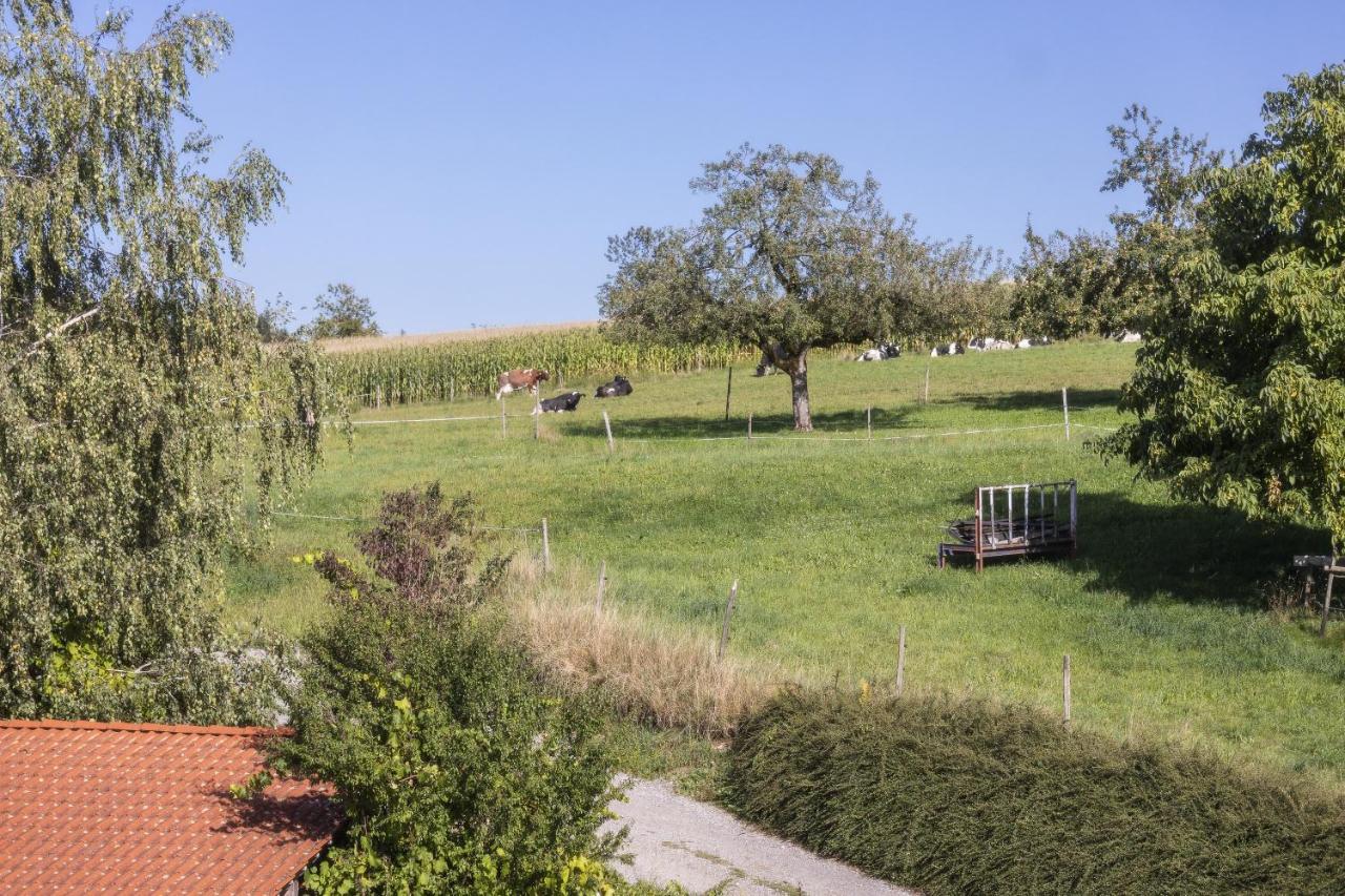 Apartment Landzeit Neukirch  Zewnętrze zdjęcie