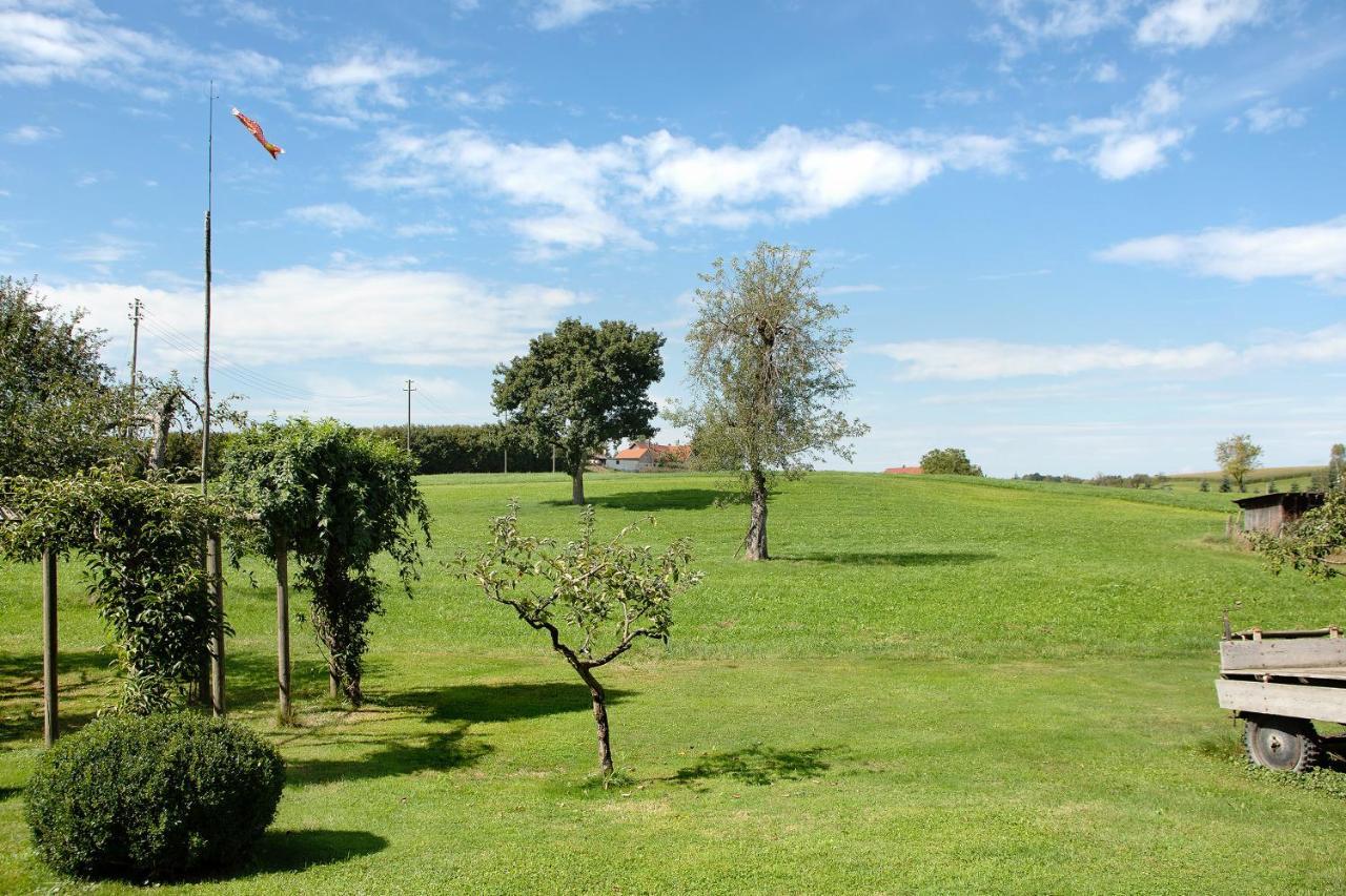 Apartment Landzeit Neukirch  Zewnętrze zdjęcie
